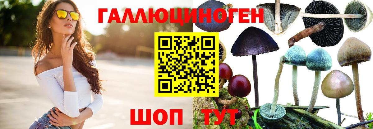 Галлюциногенные грибы прущие грибы  Вход с VPN  Салехард 